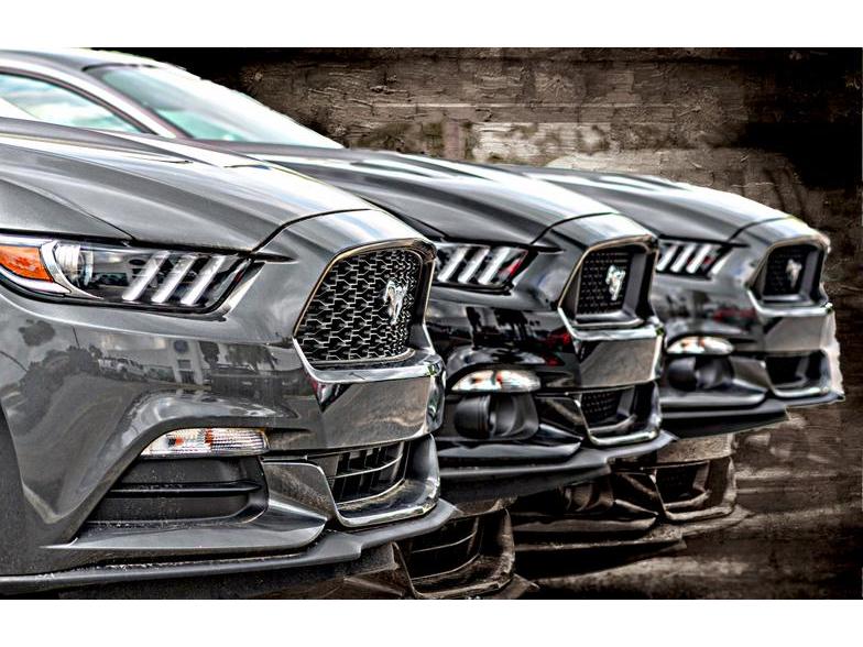 Department Of Motor Vehicles Sulphur Louisiana