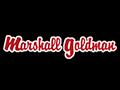 Marshall Goldman Motor Sales Warrenville Heights Oh Cars Com