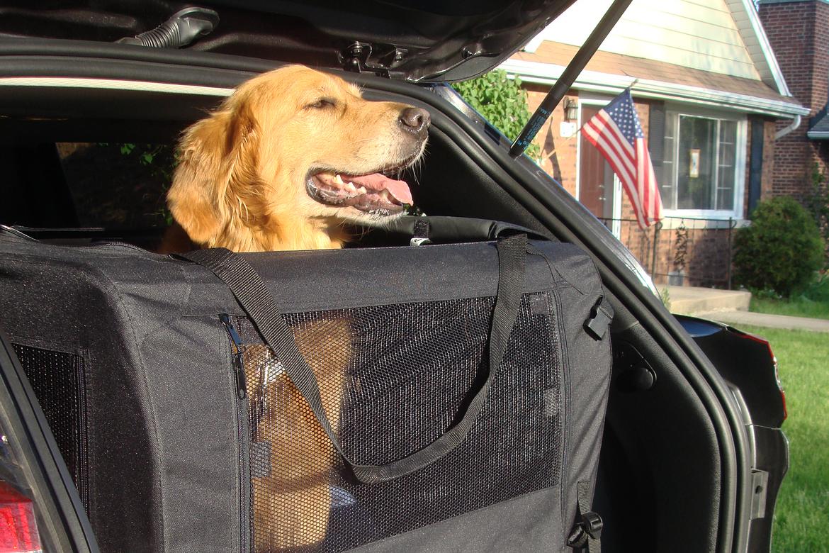 jeep_dog_kennel_jb.JPG