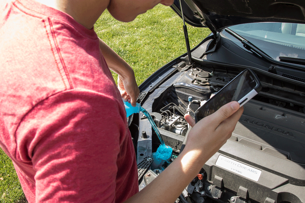 washer-fluid.gif