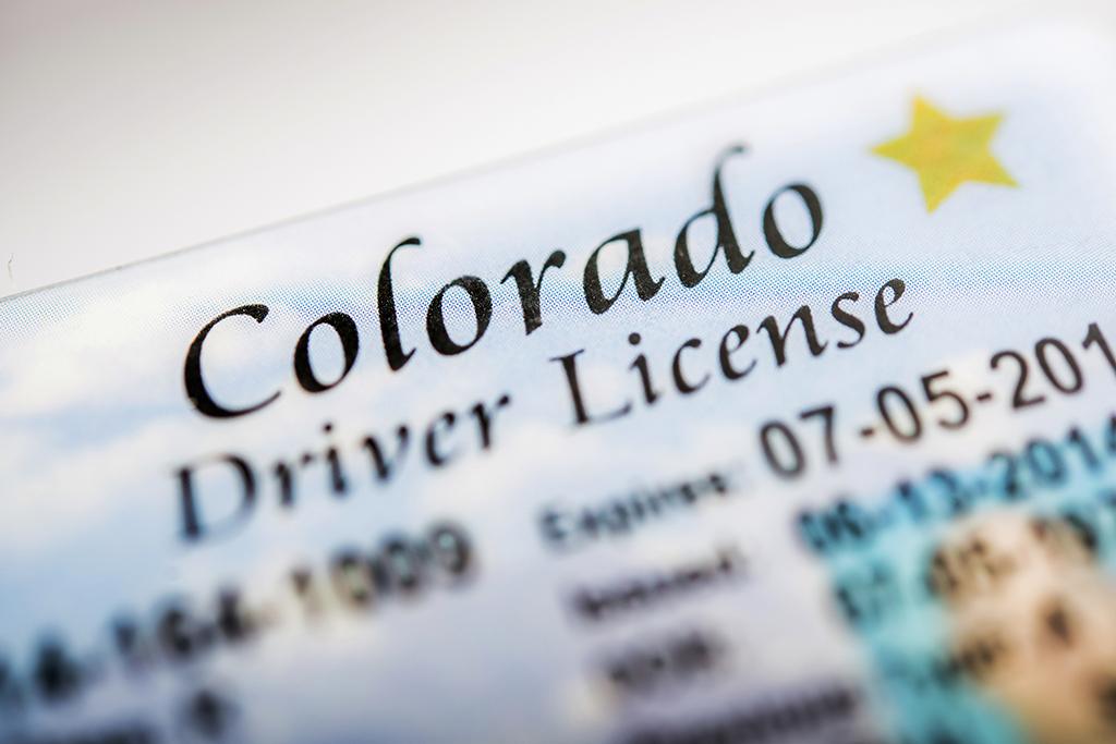 Millennial_Drivers_License.jpg