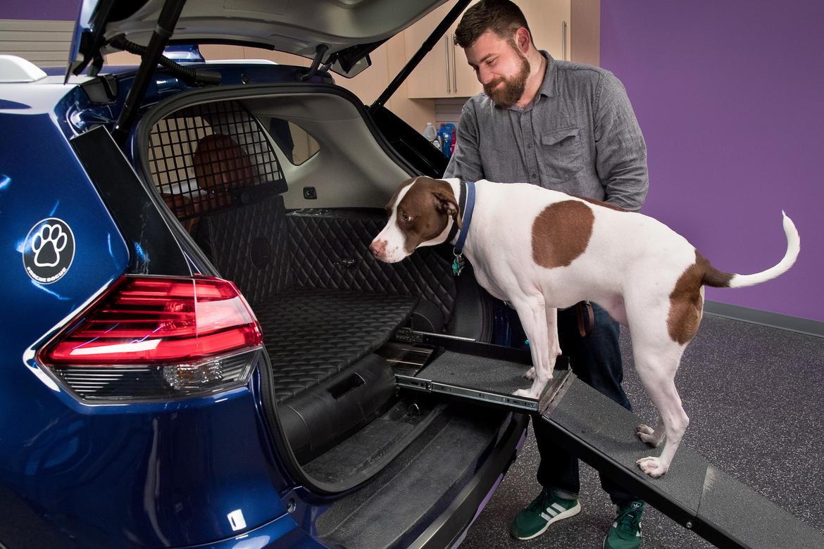 5 Ways Nissan\'s Rogue Dogue Pampers Your Pooch | News | Cars.com 5 Ways Nissan\'s Rogue Dogue Pampers Your Pooch | News | Cars.com
