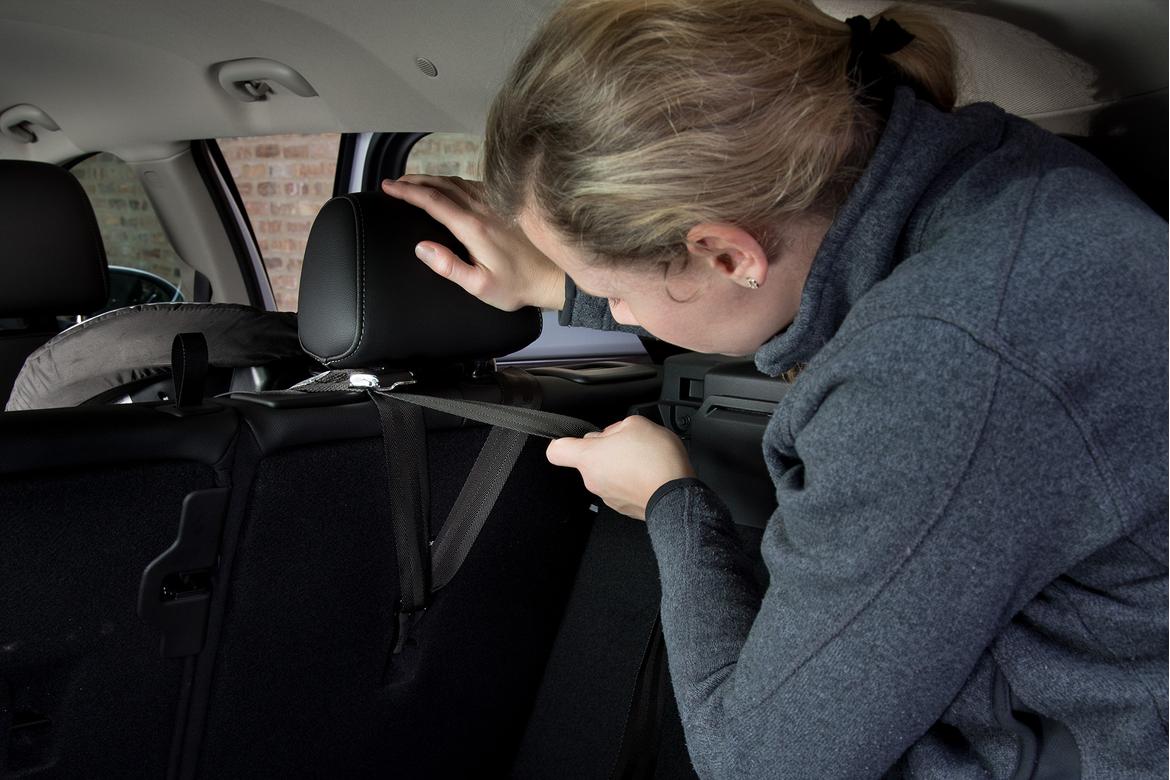 Buick Regal: Securing Child Restraints (Rear Seat) Buick Regal: Securing Child Restraints (Rear Seat)