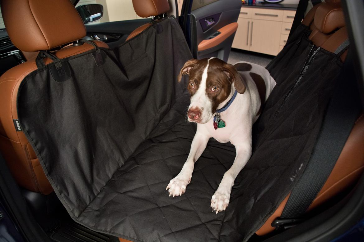 14-nissan-rogue-dogue-2017-dog--dog-hammock--second-row.jpg