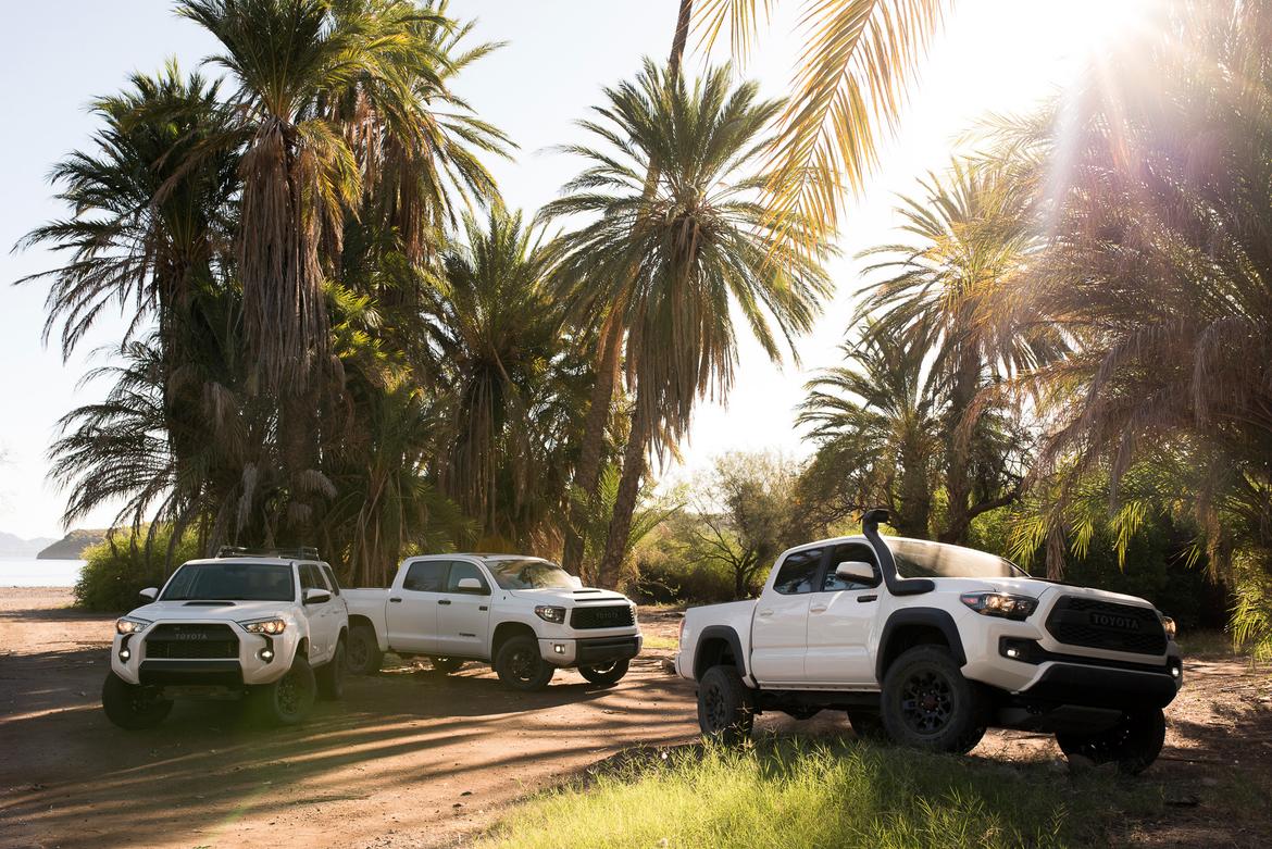 03-toyota-trd-pro-2019-angle--exterior--front--off-road--trees--